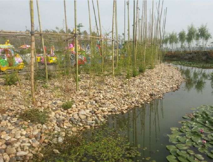 1671100219157049.jpg s680_竹林下的鹅卵石莲花池.jpg