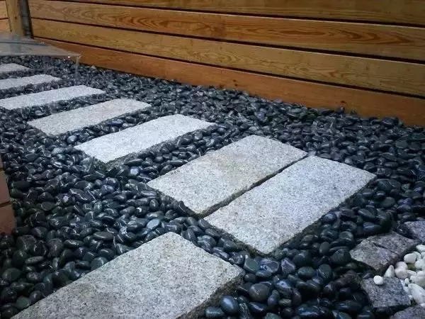 1491977731113587.jpg 6401.webp.jpg