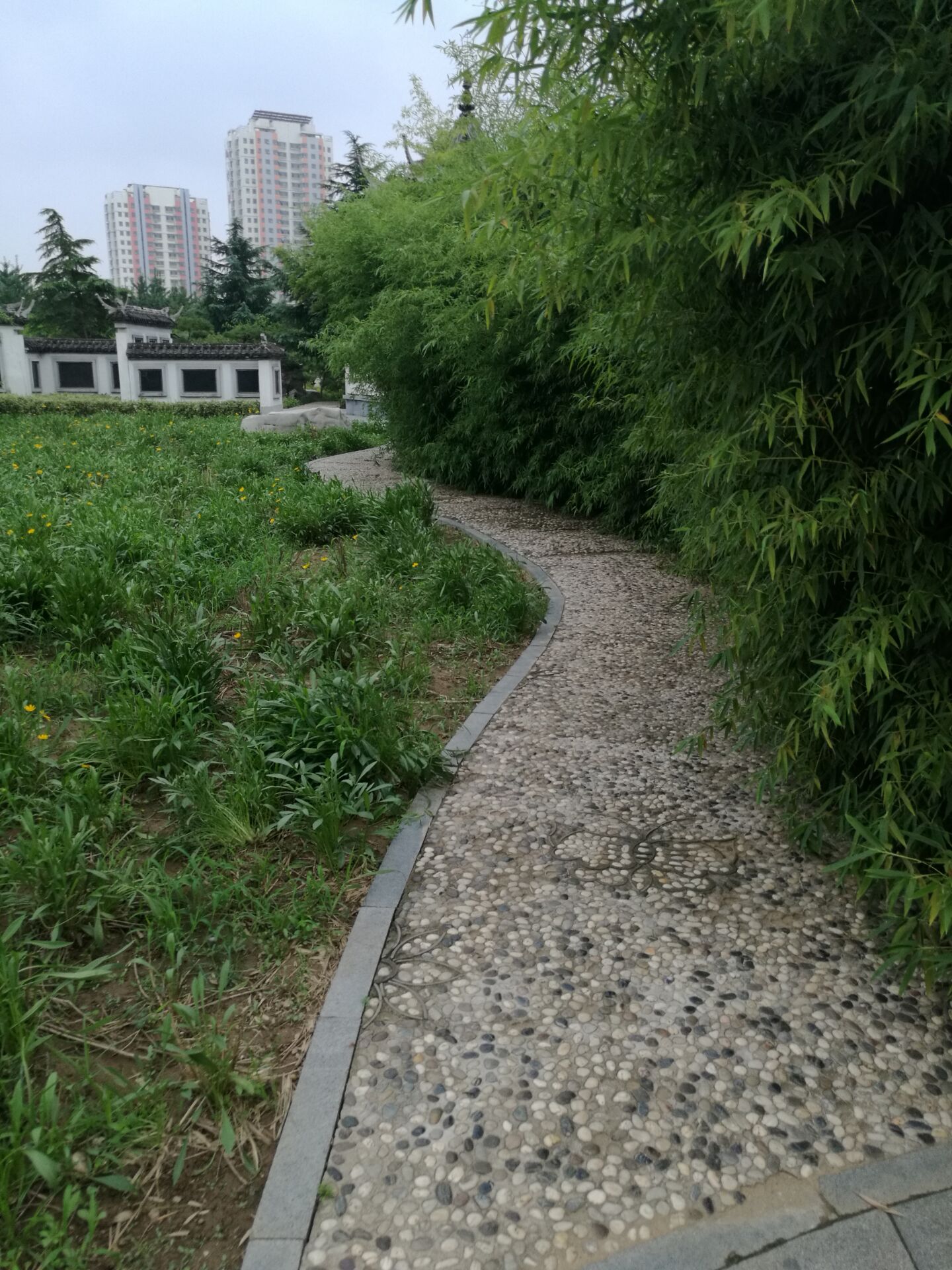 1501833101513431.jpg B662C0A0E20A6097F903C07521075942.jpg