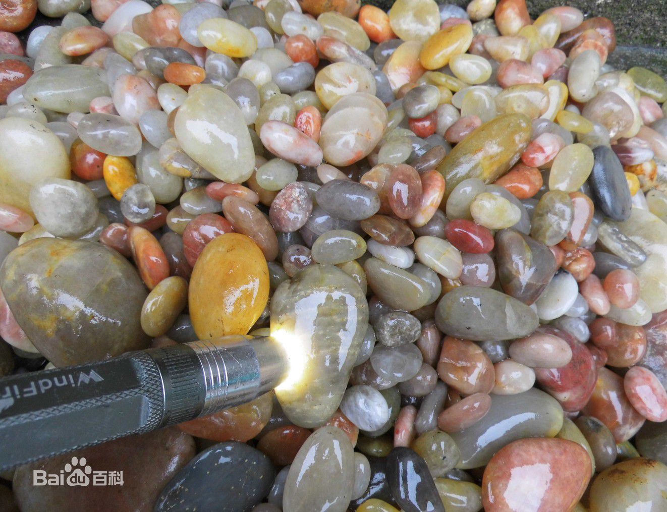 1505702732515342.jpg 171e0261acdf33b6e5195faf0bbba14a_f9198618367adab4a870040e89d4b31c8601e4df.jpg