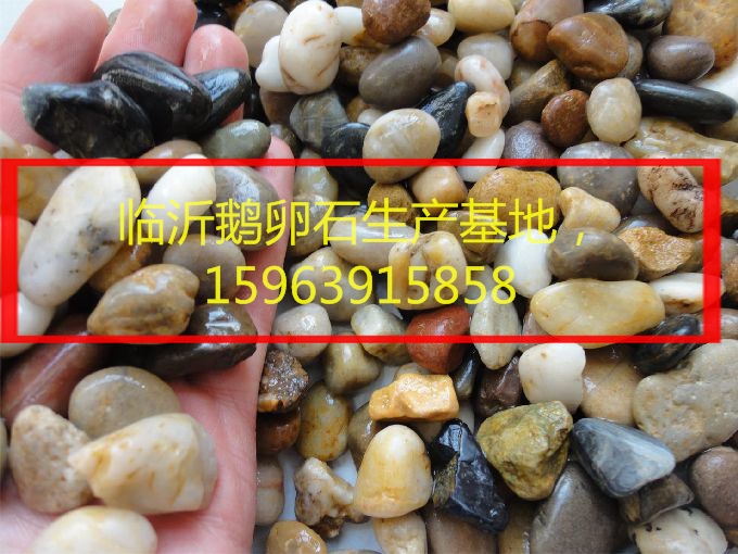 1582878060123940.jpg 1.jpg